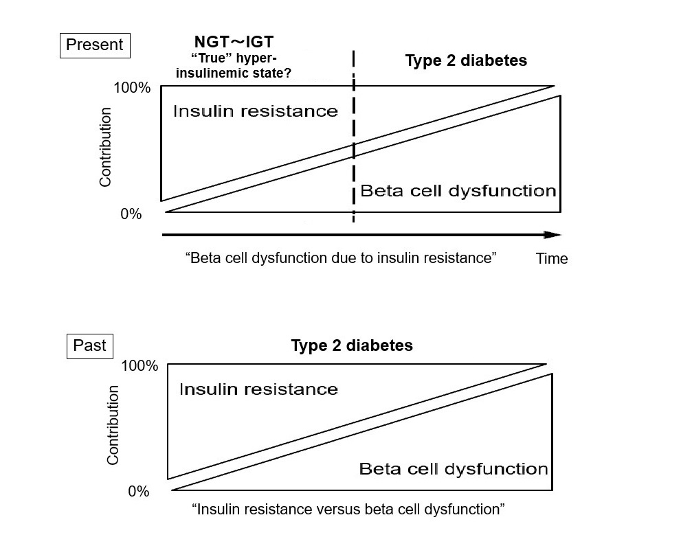 changing-our-concept-of-type-2-diabetes-scitemed-publishing-group